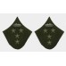 Петлицы полевые. ГЕНЕРАЛ-ПОЛКОВНИК, обр. 1941 г..